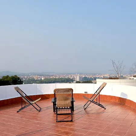 Terrazas De La Provi, Mejores Vistas Gijon
