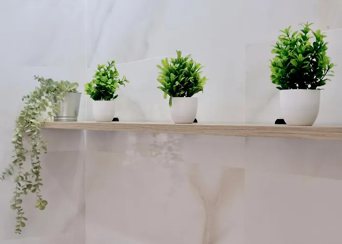 Terrazas De La Provi, Mejores Vistas Gijón